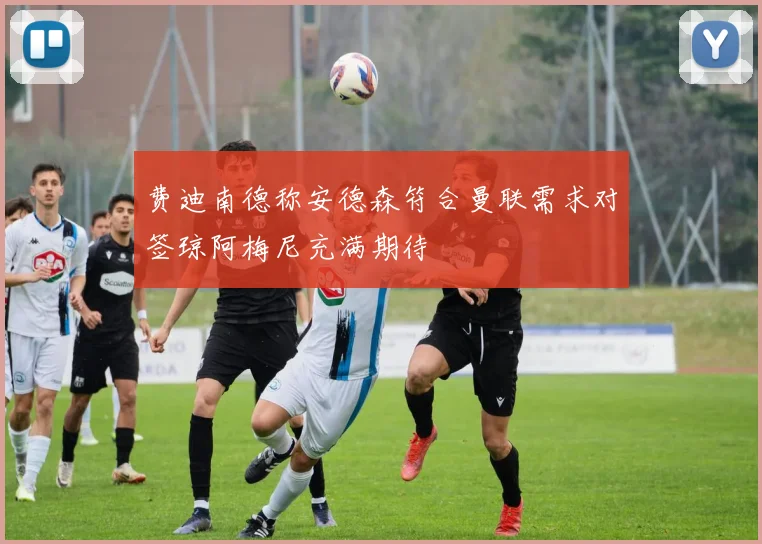 费迪南德称安德森符合曼联需求对签琼阿梅尼充满期待